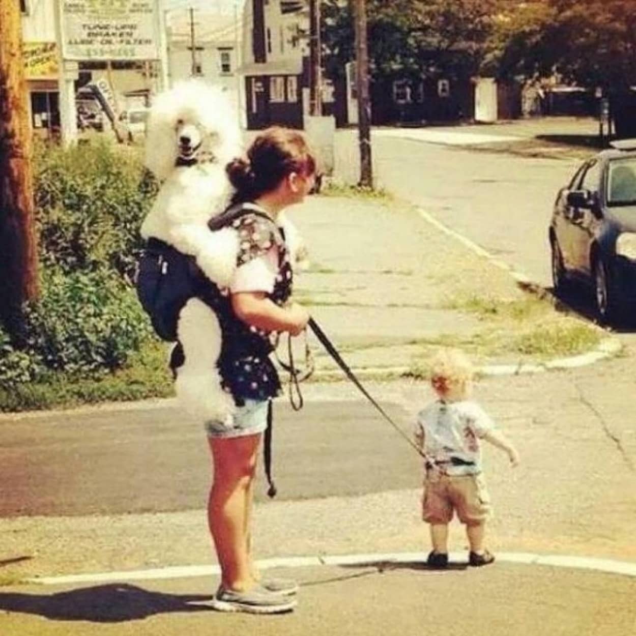 いろいろおかしい なにかが間違っている違和感のある画像 カラパイア