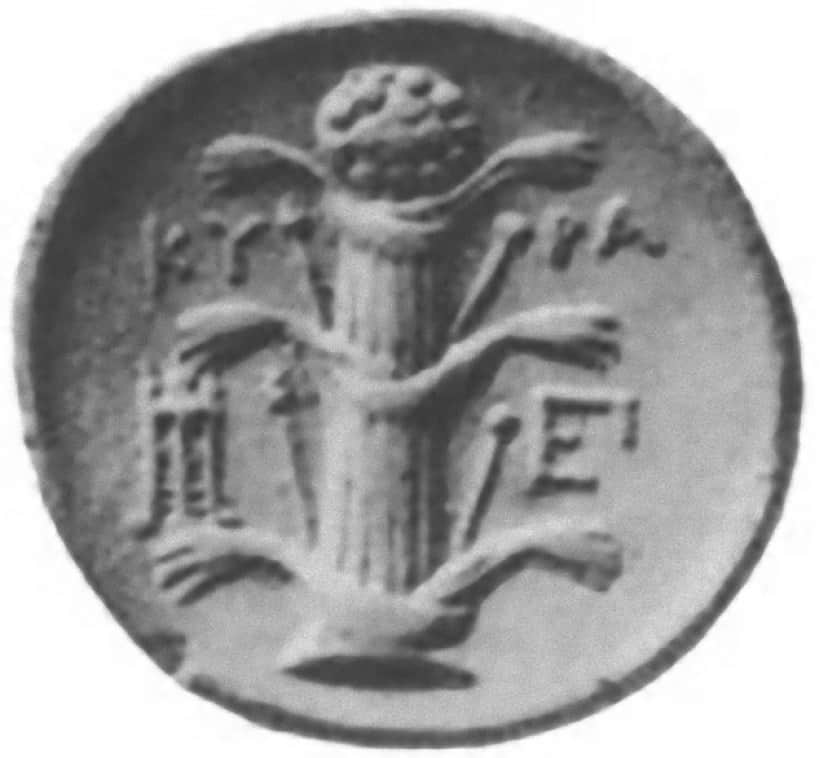 Silphium_e