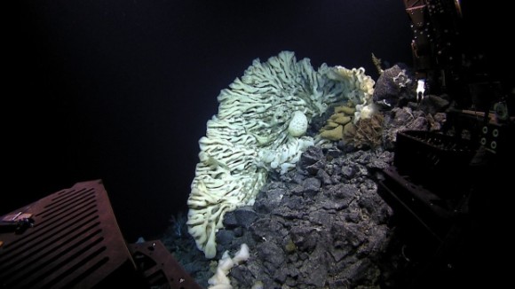 4_e51