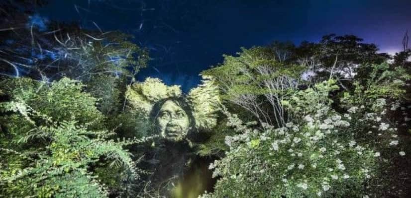 アマゾンに住む原住民たちの姿が暗闇に浮かび上がる 森の木々にプロジェクトマッピング カラパイア