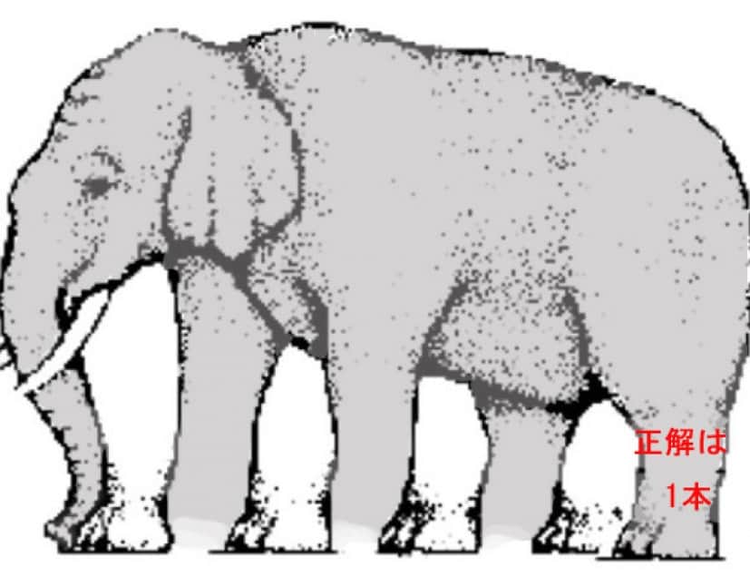 ゾウの足は何本 海外snsでシェアされまくってる錯視絵 カラパイア