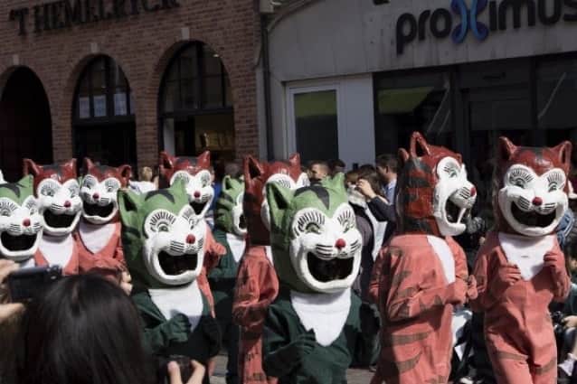 猫を投げ捨てる習慣から始まった 後ろ暗い歴史があるベルギー伝統の猫祭り カッテンストゥッツ カラパイア