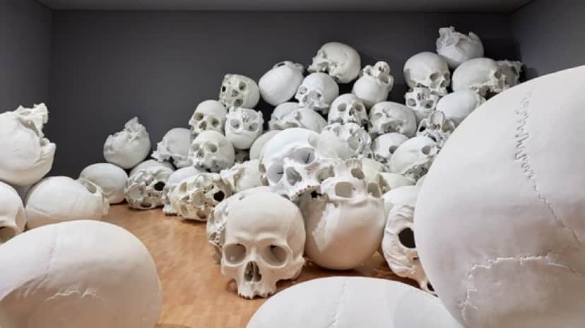 bone2_e