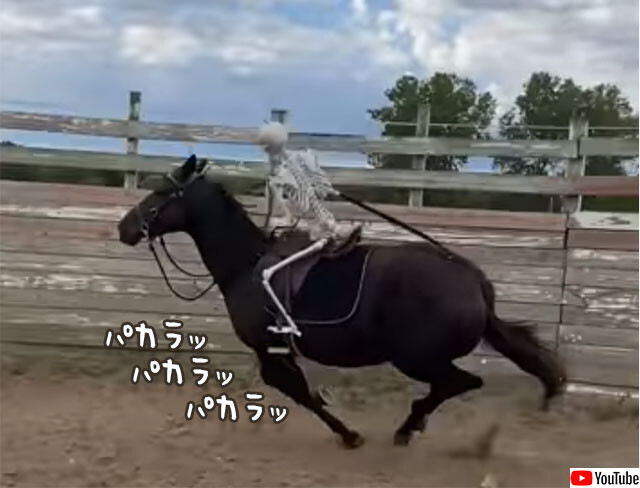 馬に乗ったゴーストライダー？骸骨を背に乗せ走る馬