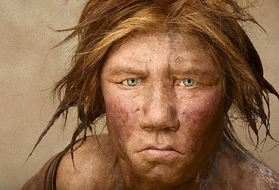 ネアンデルタール人の謎 解明進む カラパイア ネアンデルタール人の謎 解明進む カラパイア