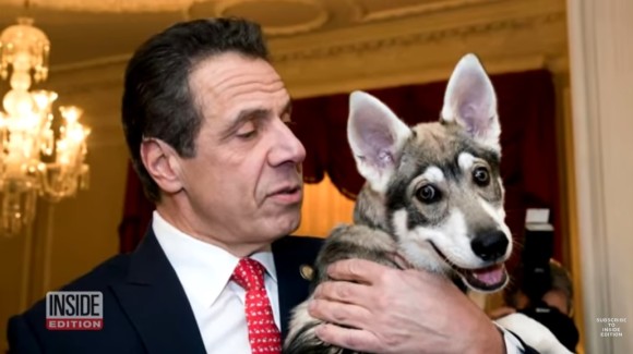 女性スキャンダルで辞任表明のニューヨーク知事、今度は飼い犬を置き去りにしたと非難受ける