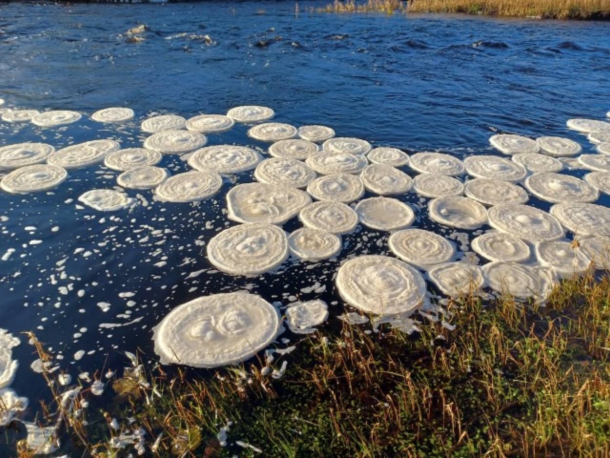 パンケーキ状の丸い氷が浮かぶ驚異的光景