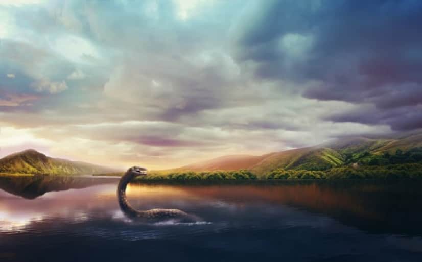 iStock-817420168_e