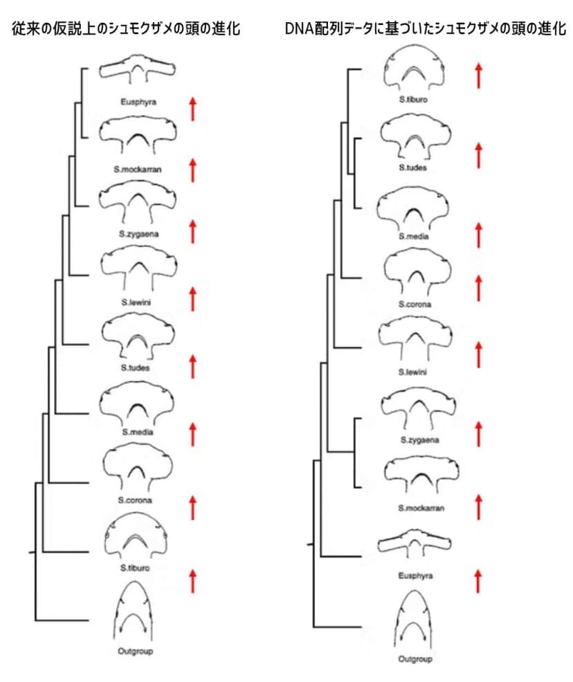 名称未設定-1