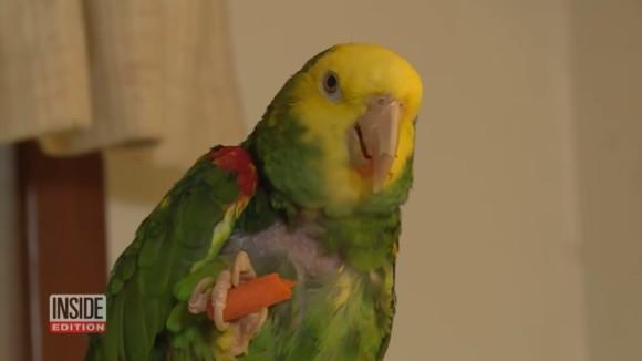 diego