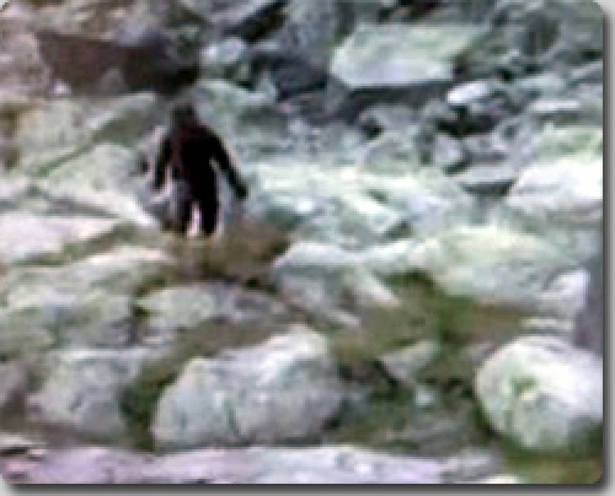 ポーランドでかなりイキのいい イエティ が発見される カラパイア