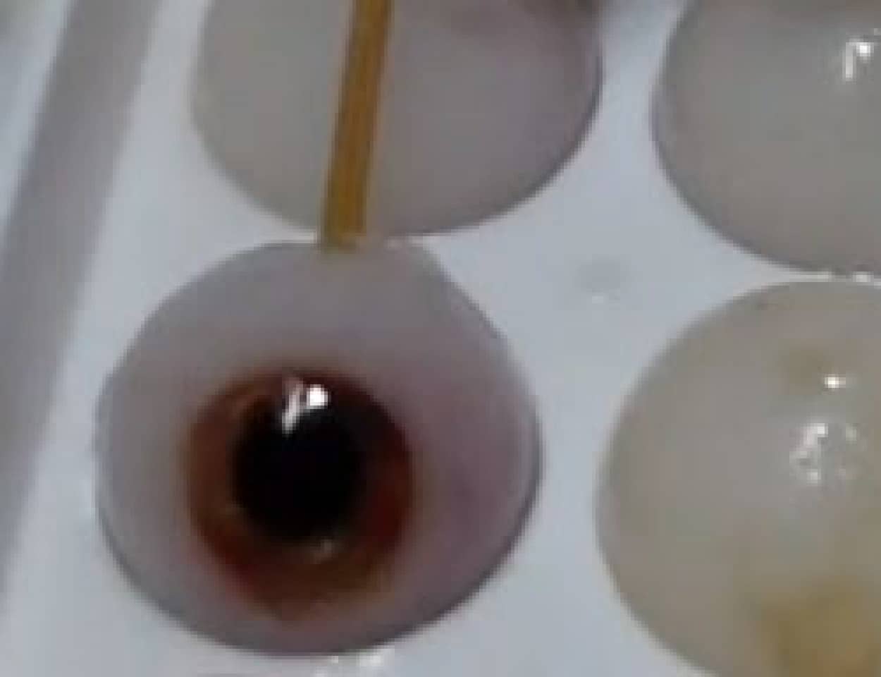 中からへんなものが出てくる 寒天目玉 の作り方 カラパイア 中からへんなものが出てくる 寒天目玉 の作り方 カラパイア