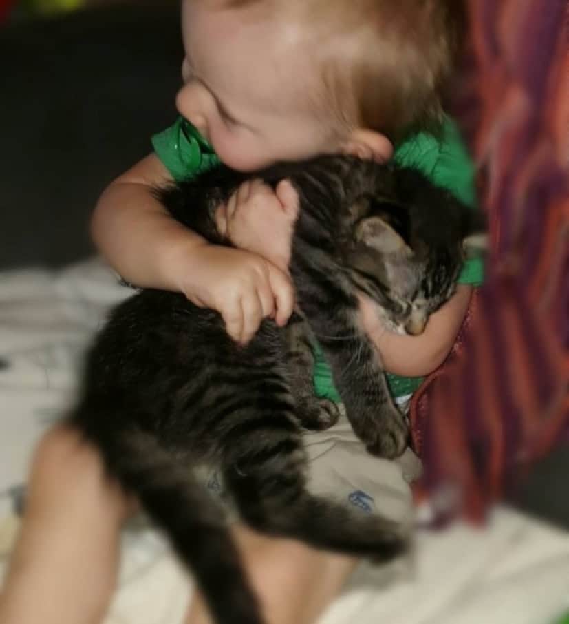 抱き合って眠るの 一家に救われた猫は毎日赤ちゃんの添い寝役をかって出た カラパイア 抱き合って眠るの 一家に救われた猫は毎日赤ちゃんの添い寝役をかって出た カラパイア