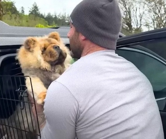 目の見えない犬が運命の人と出会い、他の感覚全てで愛情を感じ取り幸せに暮らすまでの物語