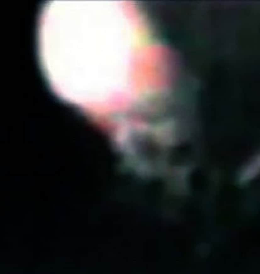 動物の霊 高速で動くオーブの光を分析してみたところ現れた顔は カラパイア 動物の霊 高速で動くオーブの光を分析してみたところ現れた顔は カラパイア