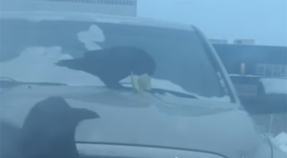 04