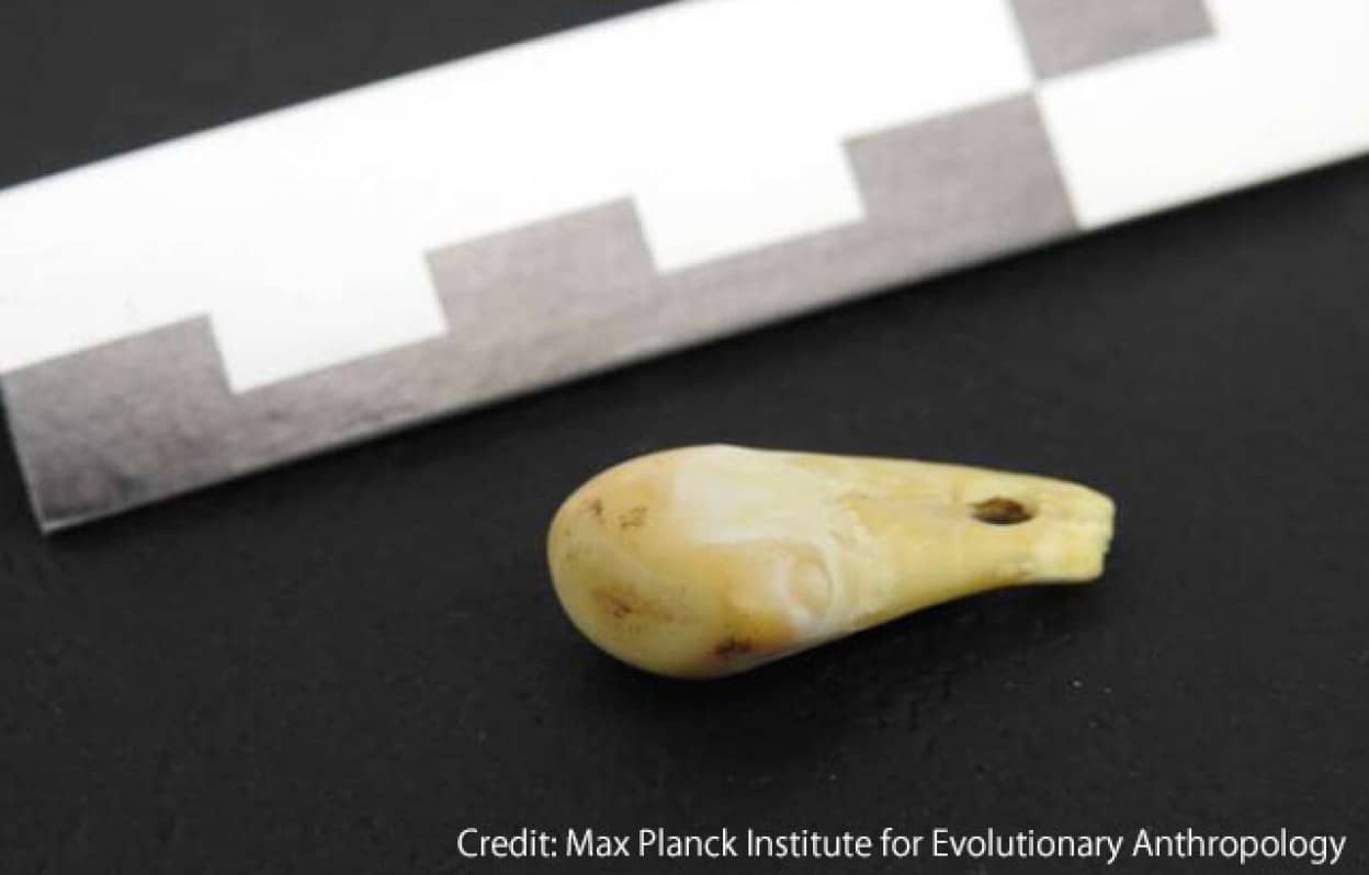 2万年前のペンダントから古代女性のDNAの回収に成功