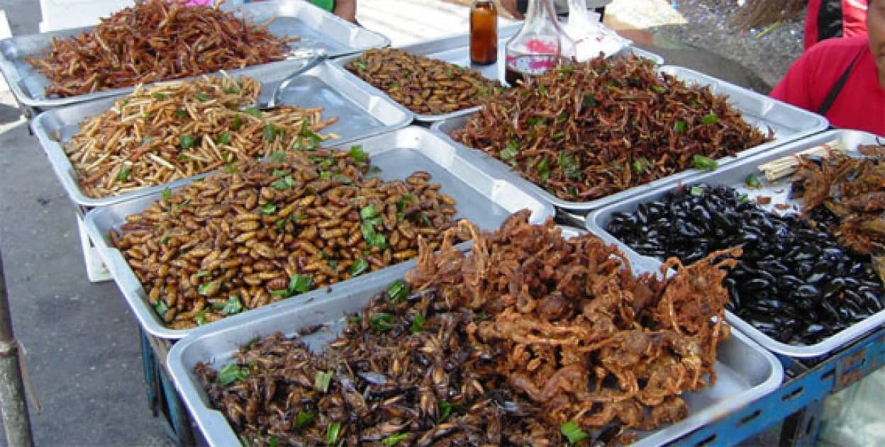 世界の食用昆虫 人気ベスト8 昆虫注意 カラパイア