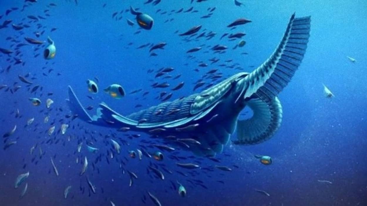 パイセンですから不気味とか言っちゃダメ 先史時代を生きた10の節足動物 カラパイア