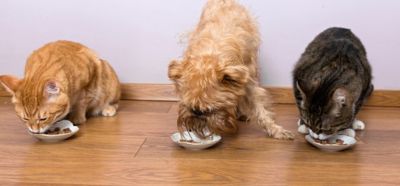 iStock-533275705_e
