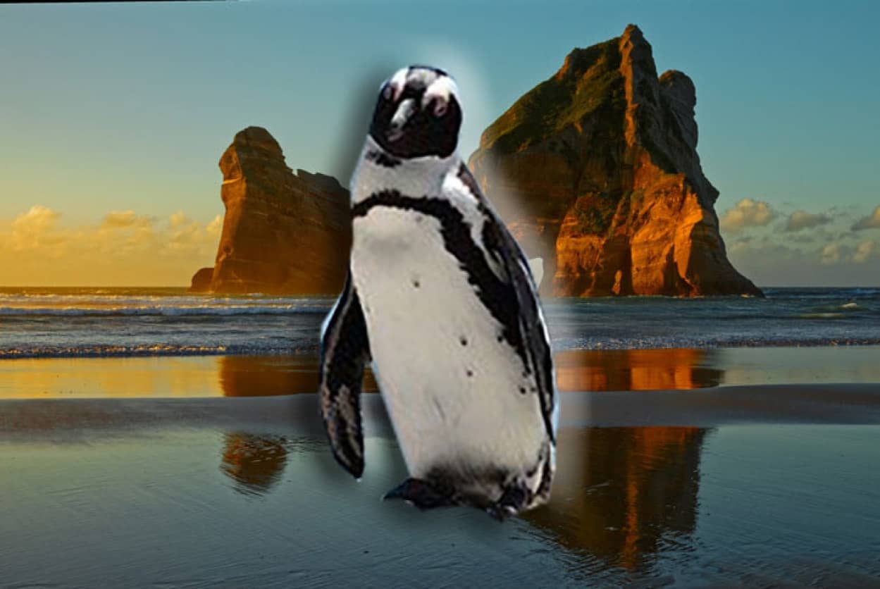 全てのペンギンの先祖はジーランティア大陸に存在した