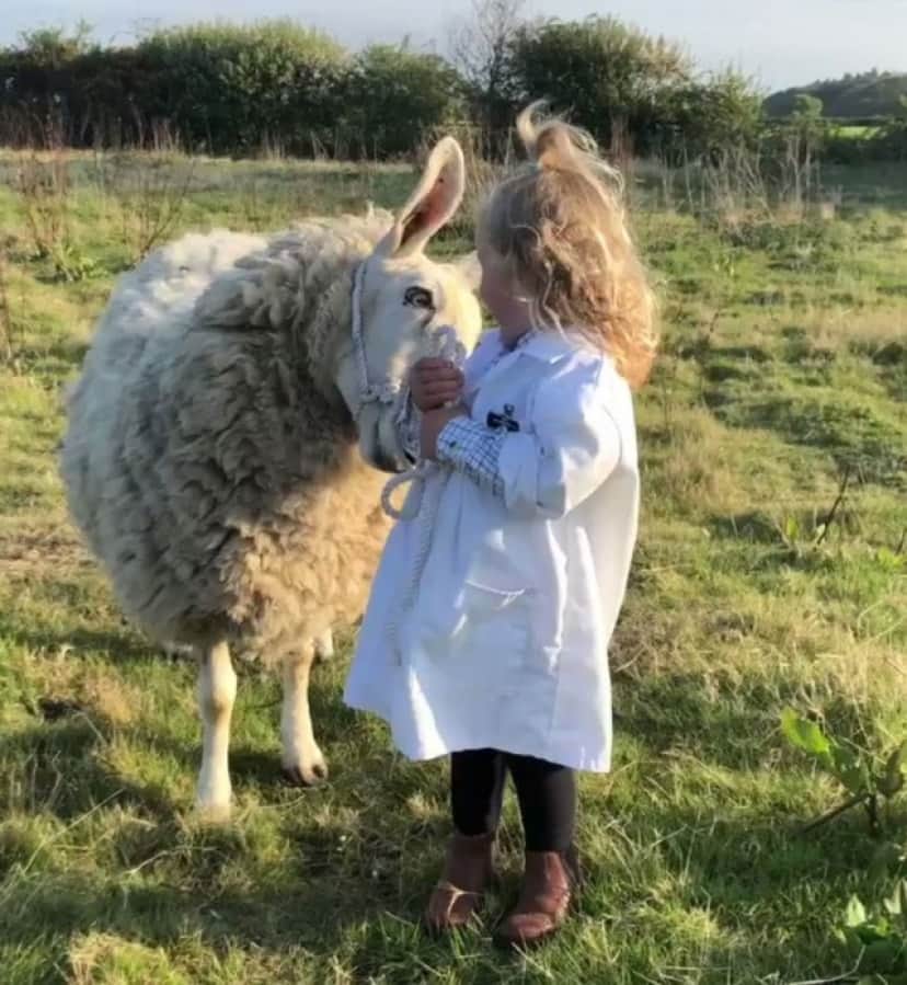 3歳の少女が仲良しの羊と調教コンテストに参加 その姿がかわい萌え イギリス カラパイア