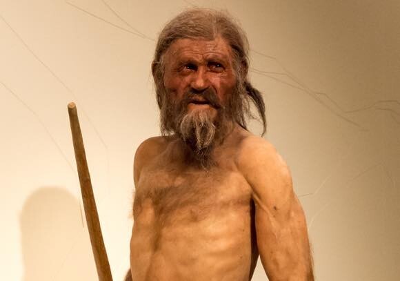 約5300年前のミイラ、エッツィ（アイスマン）は最後の日々をどう過ごしたのか？コケ類の分析で新事実が判明