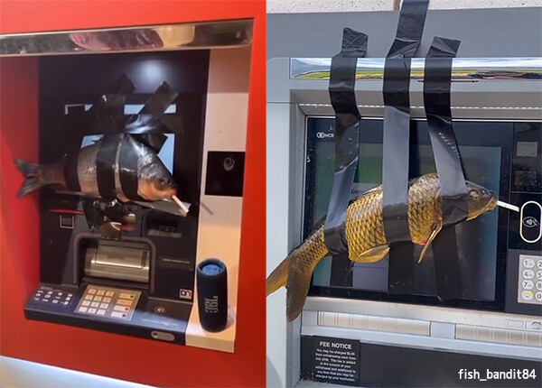 ATMの画面に魚を張り付けるという謎のいたずらを繰り返した少年が逮捕、日本でも行っていた