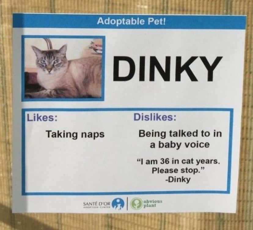 Dinky_e
