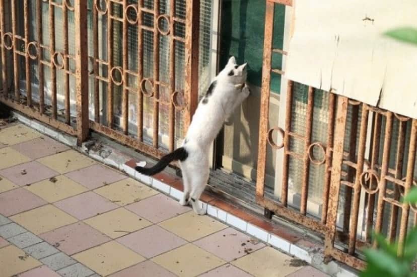5_e0