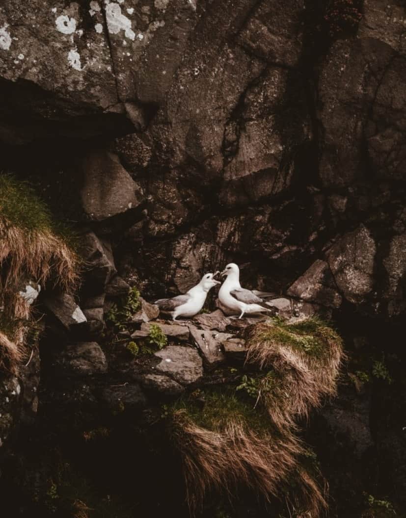 annie-spratt-cwnMvjpYeas-unsplash_e