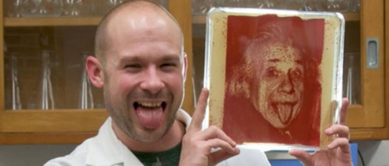 科学者がアートをすると目のつけどころがバクテリア 微生物を使ってシャーレに描く バクテリオグラフィー カラパイア 科学者がアートをすると目のつけどころがバクテリア 微生物を使ってシャーレに描く バクテリオグラフィー カラパイア
