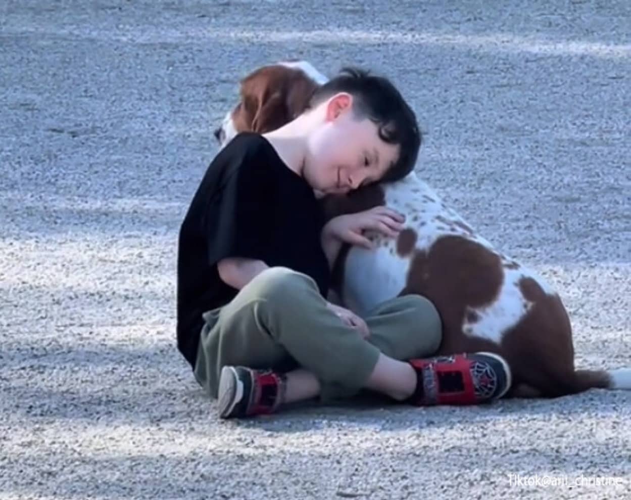 公園で出会った犬と離れられない仲になった少年