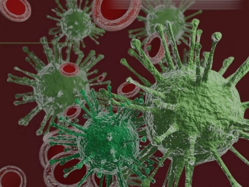 virus-5027130_640_e