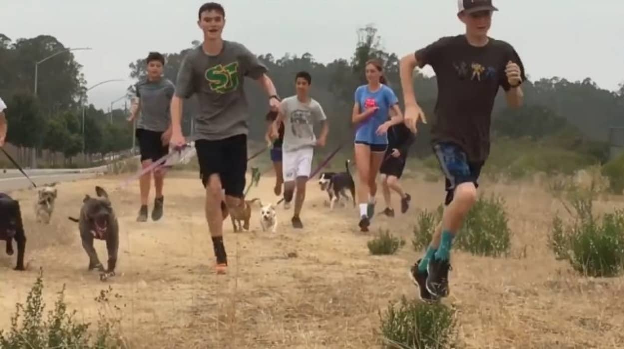 保護犬と一緒に走る高校生たち