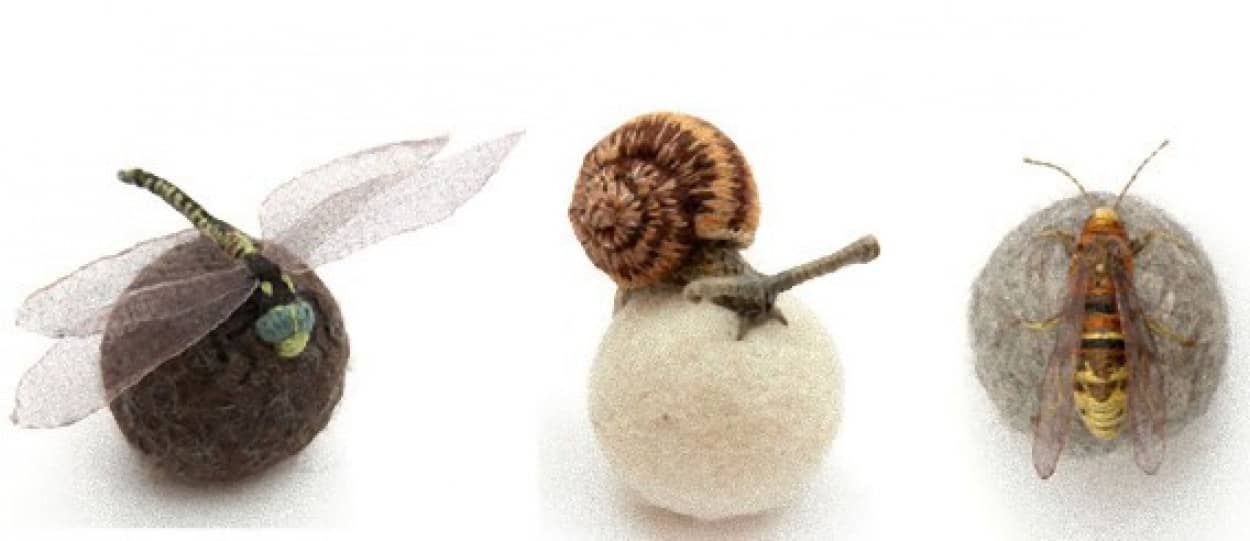 あらやだかわいい 糸玉で作った昆虫標本 カラパイア