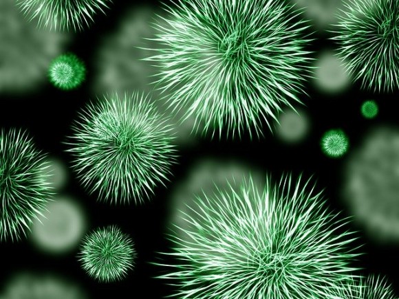 bacteria-426997_640_e