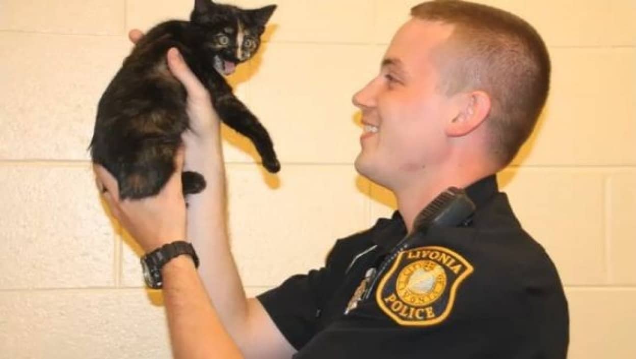 高速道路に子猫が出没 警官が駆け付け無事保護される アメリカ カラパイア