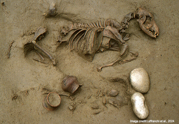 2000年以上前から愛されていた。人間と一緒に埋葬された犬や馬の遺骨が発見される