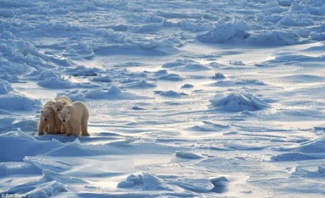 集中力を高めたい ならば壁紙を雪景色に変更だ 寒い風景の写真を見ると長期的な判断力が上がることが判明 イスラエル研究 カラパイア
