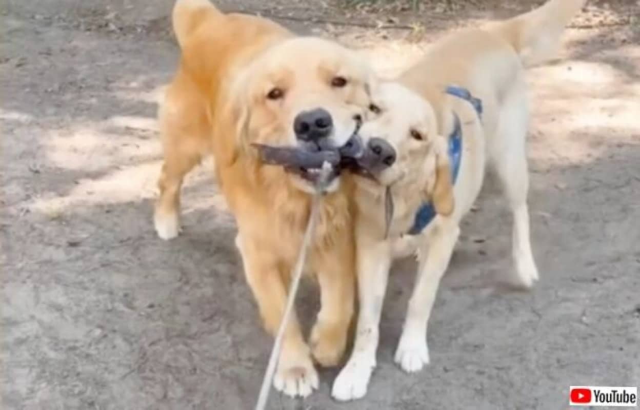 20230710_185429 (8)_batch