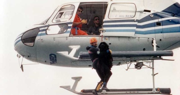 Water_rescue_dog_Italy_Sics_09_e
