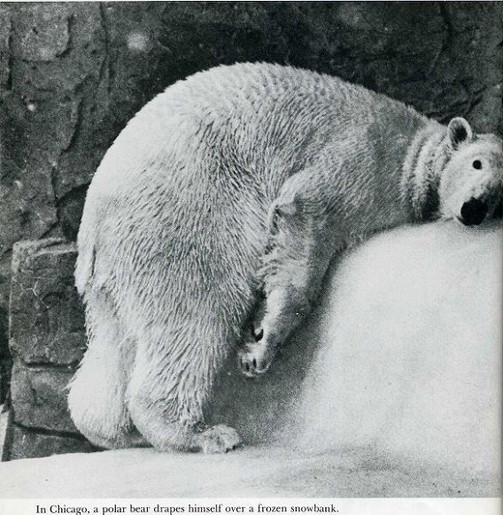 classic_life_magazine_photos_60