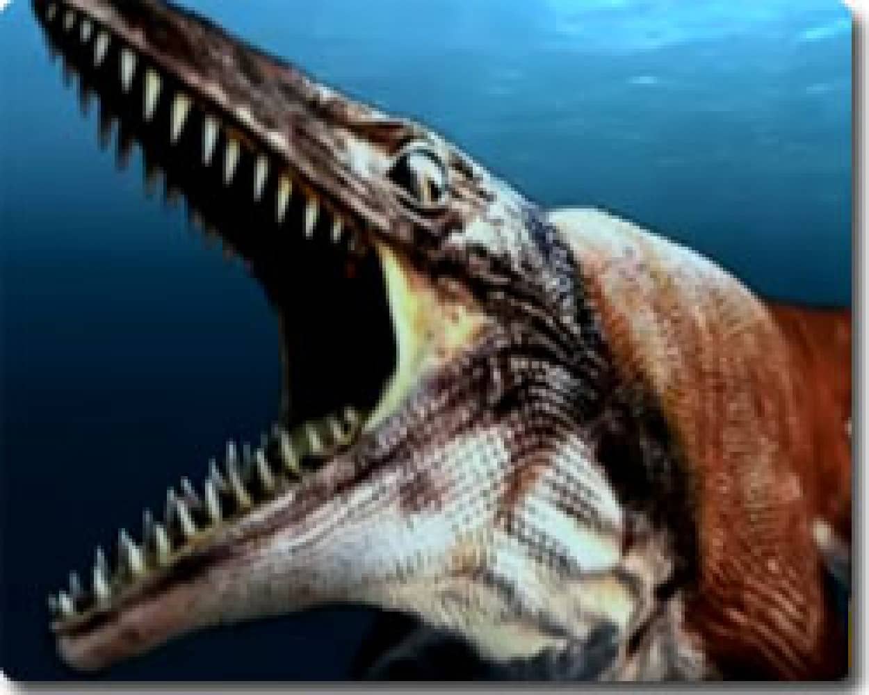 白亜紀後期 00万年前に生息していた海洋巨大生物をフルcgで完全再現 カラパイア