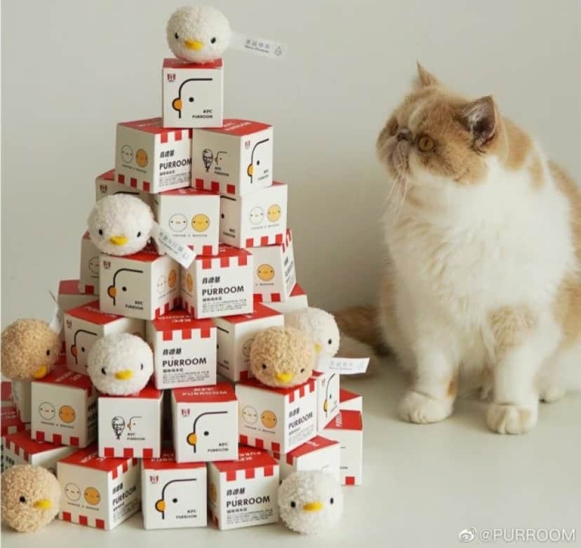 cat3_e