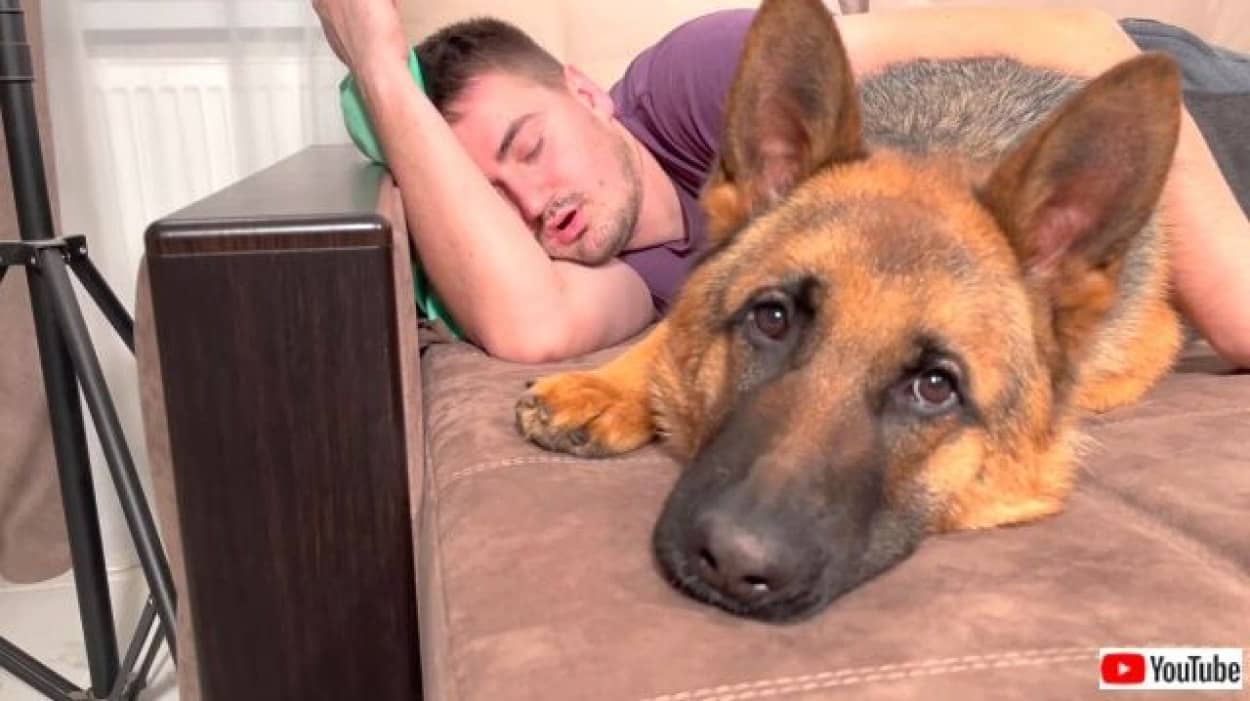 snoring0_640