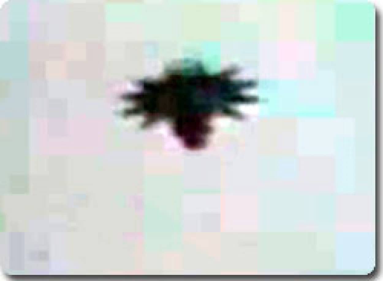 bura