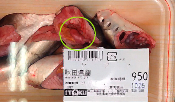 ある意味超新鮮なのか スーパーのパック詰めにされたヤツメウナギの心臓がピクピクまだ動いていた カラパイア ある意味超新鮮なのか スーパーのパック詰めにされたヤツメウナギの心臓がピクピクまだ動いていた カラパイア