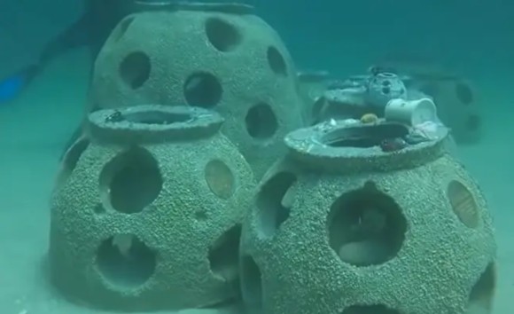 人間の遺灰で作った人工魚礁を海に投下。海洋生物たちが棲みつき、フロリダの海岸線が復活（アメリカ）