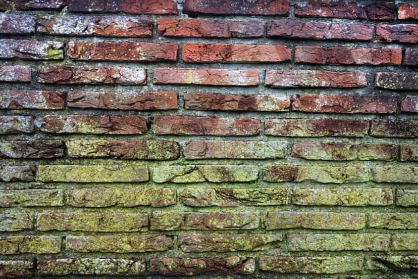 brick-wall-g7139cf402_640